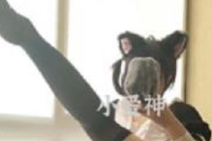 妖怪桃桃子和高端定制,你更看好谁。
