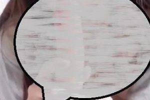 一只萌宠汉服透视套图合集468MB推特珍藏版