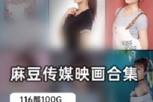 绝版某传媒116部合集100G
