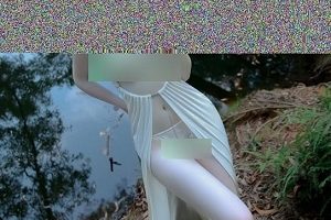 推特摄影师三青叶子私拍人体视图合集78部1285张7.7G绝美身段