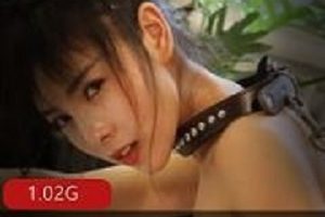 外网Ivitamin_Studio电击项圈大胆合集88部1G颜值太绝了