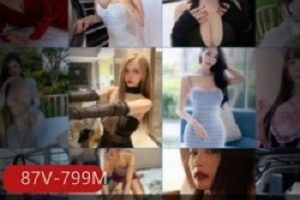 尤物范VISION约玩网红甄选87V799M太劲爆